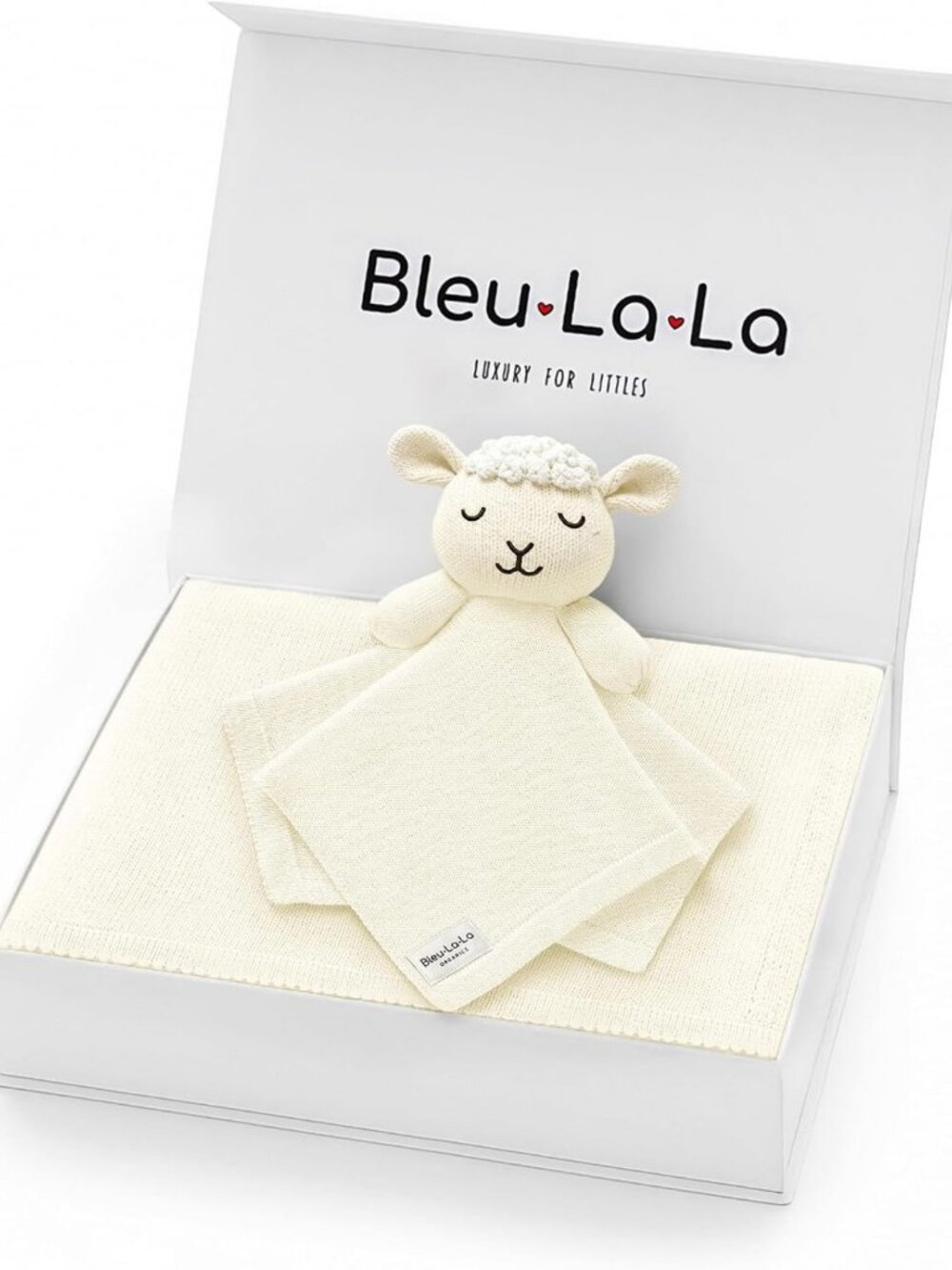 Organic Cotton Baby Gift Set - Newborn Blanket, Lovey & Essentials for Boys